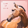 lusi of love