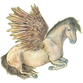 Ridpegasus Hannoveranare Mörkfux