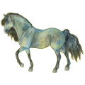 Ridhäst Paint Horse Mörkfux tobiano
