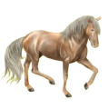Ridhäst Lusitano Gulbrun
