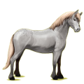 Ponny Musblack
