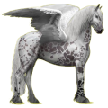 Ridpegasus Svart