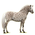 Pegasus-ponny Fjording Brunblack