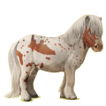 Ponny Shetlandsponny Linfux 