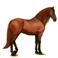 Ridhäst Renrasig spansk häst Gulbrun