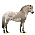 Ponny Fjording Gulblack
