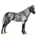 Ponny Isabell