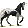 Ridenhörning Konstantskimmel