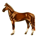 Ridhäst Paint Horse Mörkbrun tobiano