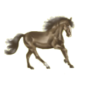Ridhäst Paint Horse Körsbärsbrun tobiano