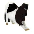 Ponny Shetlandsponny Svart