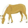 Ponny Shetlandsponny Svart