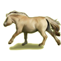 Ponny Fjording Gulblack