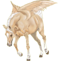 Pegasus-ponny Welshponny Fux