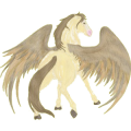Ridpegasus Shagya-arab Flugskimmel