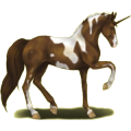 Ridenhörning Paint Horse Mörkfux tobiano