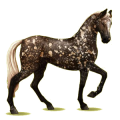 Ridhäst Akhal-Teke Linfux 