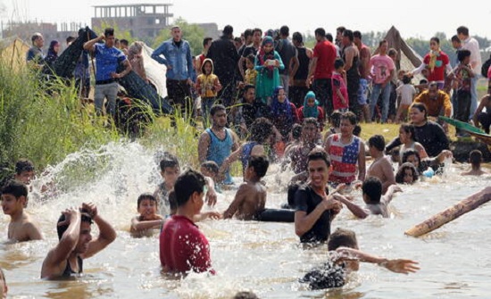 منظمة الصحة العالمية تحذر المصريين من "الفسيخ"