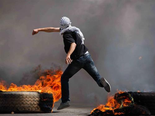 34 شهيداً فلسطينيا الشهر الماضي 34 شهيداً فلسطينيا الشهر الماضي
