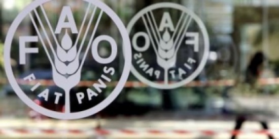 "فاو": انخفاض أسعار الأغذية عالميا