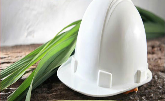 دراسة : النساء يشكلن نصف أعداد المهندسين الزراعيين في الأردن لعام 2017