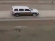 بالفيديو: امرأة تهوي بسيارتها إلى أسفل منحدر