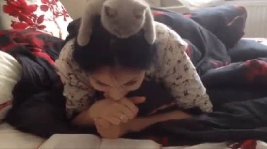 قطة تشارك في قرأة الكتاب