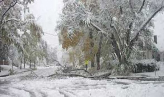 عاصفة ثلجية تضرب منغوليا الصينية