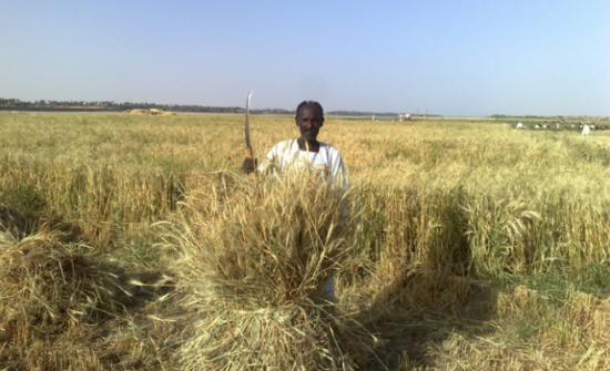 السودان تخصص 168 ألف دونم من أراضيها الزراعية للاستثمار الأردني السودان تخصص 168 ألف دونم من أراضيها الزراعية للاستثمار الأردني