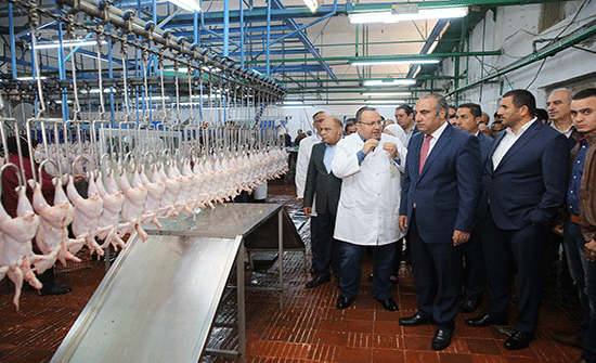 الشواربه يؤكد على جاهزية المسلخ والسوق المركزي خلال شهر رمضان