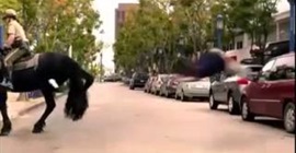 بالفيديو.. شاهد كيف عاقب حصان رجلا ضربه بالفيديو.. شاهد كيف عاقب حصان رجلا ضربه
