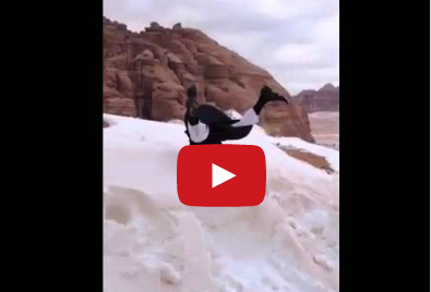 رجل ثلج بالدشداشة «رأساً على عقب»