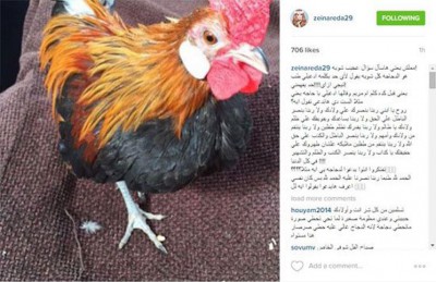 ماذا وصفت الفنانة ’’زينة’’ ’’أحمد عزّ ’’ ؟ ماذا وصفت الفنانة ’’زينة’’ ’’أحمد عزّ ’’ ؟