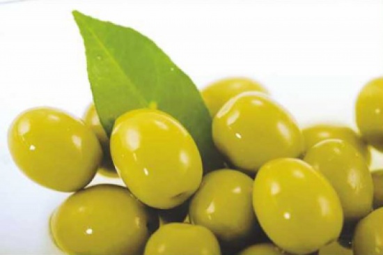 بحث مشكلات قطاع معاصر الزيتون في إربد