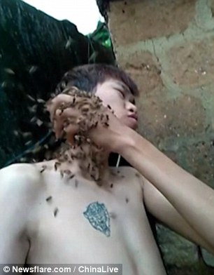 شاهد..  صبي يضع قبضته المليئة بالنحل في فمه