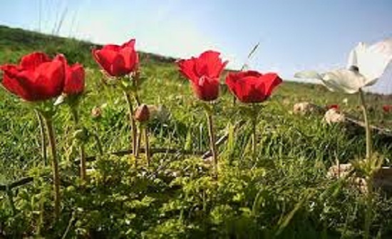 الجمعة... أجواء مناسبة للرحلات