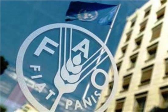 تقييم جديد للفاو حول خفض الغازات الدفيئة تقييم جديد للفاو حول خفض الغازات الدفيئة