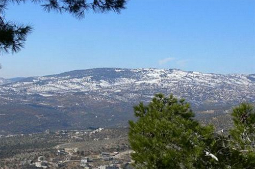 حرق منزل قاتل جرش