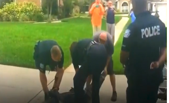 بالفيديو: تمساح يطيح برجل أرضاً ويفقده الوعي ...