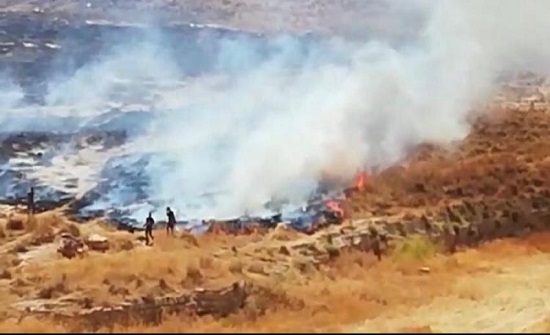 بالصور : حريق اشجار واعشاب في الكرك