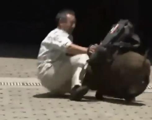 بالفيديو: خنزير بري يهاجم فريق تصوير تلفزيوني بالفيديو: خنزير بري يهاجم فريق تصوير تلفزيوني