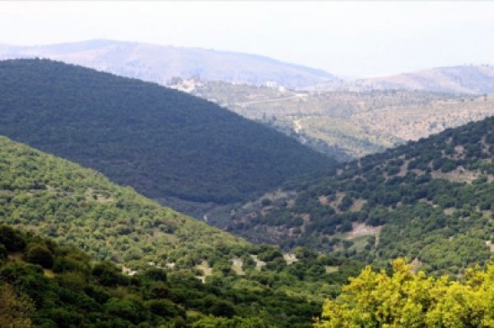 مبادرة نحو اردن اخضر وزرقاء جميلة مبادرة نحو اردن اخضر وزرقاء جميلة
