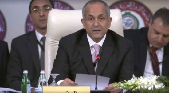 العايد يؤكد تضامن الأردن مع مصر في مواجهة الإرهاب