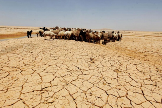 تقرير وطني يحذر من تأثيرات "التغير المناخي" على الأردن تقرير وطني يحذر من تأثيرات "التغير المناخي" على الأردن