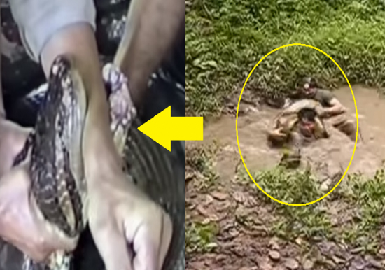 فيديو| بعد أن تُرك في القفص غارقاً في دماءه يتضور جوعاً.. هذا ما حدث!