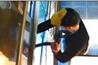 شاهد.. لص يسرق ثعبانًا ويخفيه في بنطاله