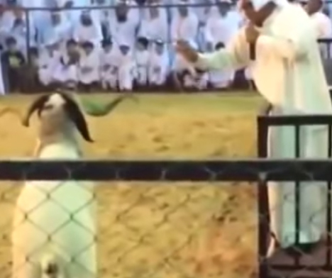 " يرحم والديك ما نبي مشاكل "