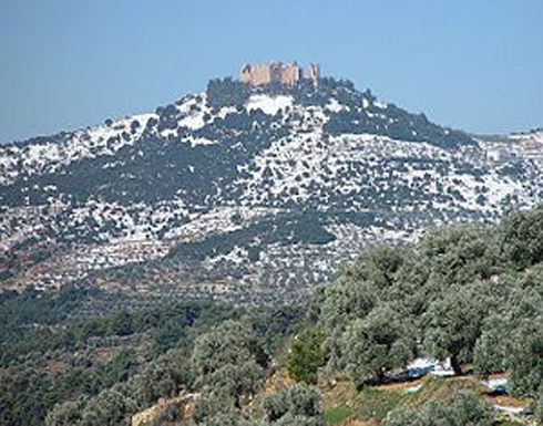 شباب عجلون تنظم تجمعا كشفيا بيئيا لأعضاء المراكز