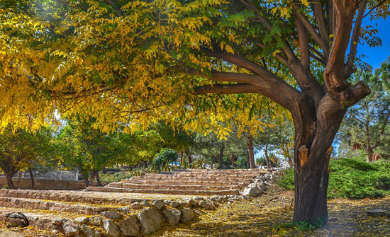 الأحد المقبل أول أيام فصل الخريف في الاردن