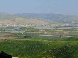 تحضير 500 دونم للزراعات الحرجية بالاغوار الشمالية